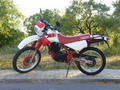 Derbi 829-17