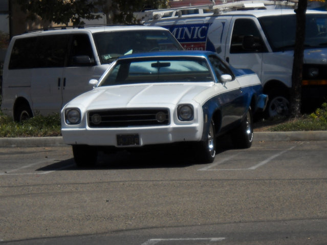 TW Bouska's 74 El Camino