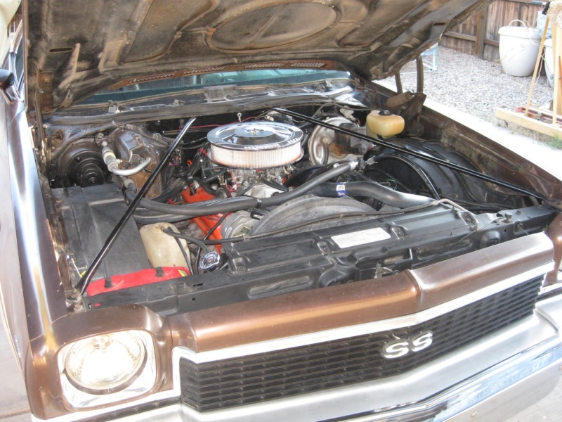 1973 Chevelle SS engine pic - 001