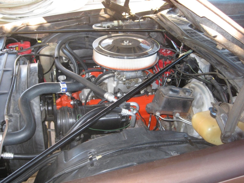 1973 Chevelle SS engine pic - 003