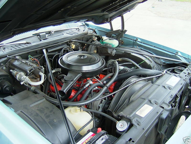 Chevelle Survivor Engine Compartment detail reference