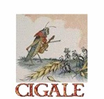 cigale4