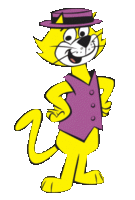 Don Gato