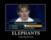 Funny Pictures Elepha10