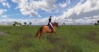 Balades / Equitation Flaman10