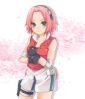 Sakura Haruno Sakura14