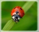  Photos , nature,  balades ,  dans  les régions de  France  16-12