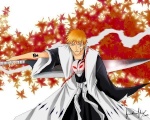 _Ichigo_