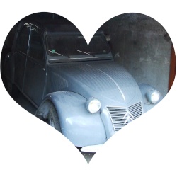 Sim's2cv