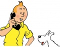 TinTin