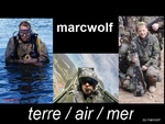 marcwolf13