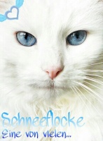 Schneeflocke