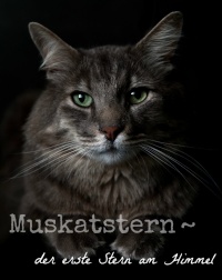 Muskatstern