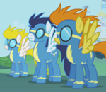 wonderbolt