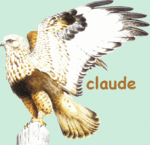 Claude 77