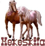 mekeskila