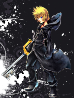 Roxas 13