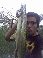 Alfonso PikeBass Fishing