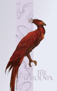 The Phoenix