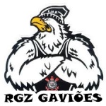 RGZ GAVIÕES 08