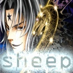 sheep