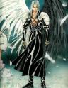 Sephiroth Ange