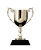 trophy1 copy