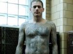 scofield7