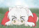 inuyasha - 001