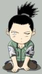 Shikamaru Nara