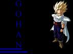 gohan