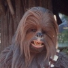 chewbacca06