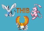 thib