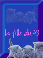 lafilledu49