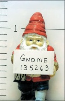 Gnome