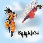 Salakis34