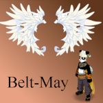 belt-may