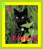 Fleuris♫