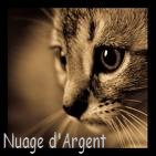 Nuage d'Argent