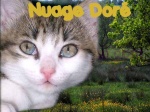 Nuage Dor