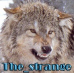 the_strange