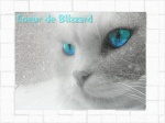 coeur de blizzard