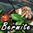 Bermite'