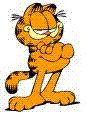 garfield36