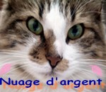 Nuage d'argent