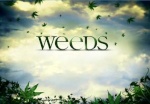 Weeds