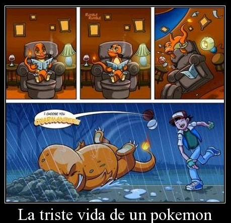 La triste vida de un Pokémon...