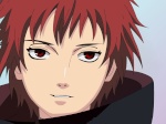 SaSoRi