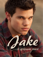 Jake Black