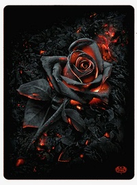 Black roses